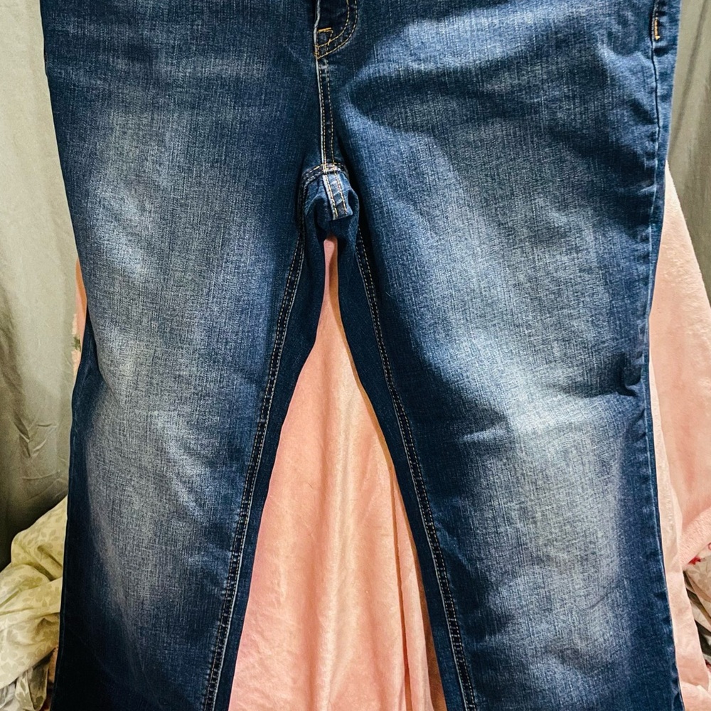 Lane Bryant Dark Wash Blue Straight Leg Jeans